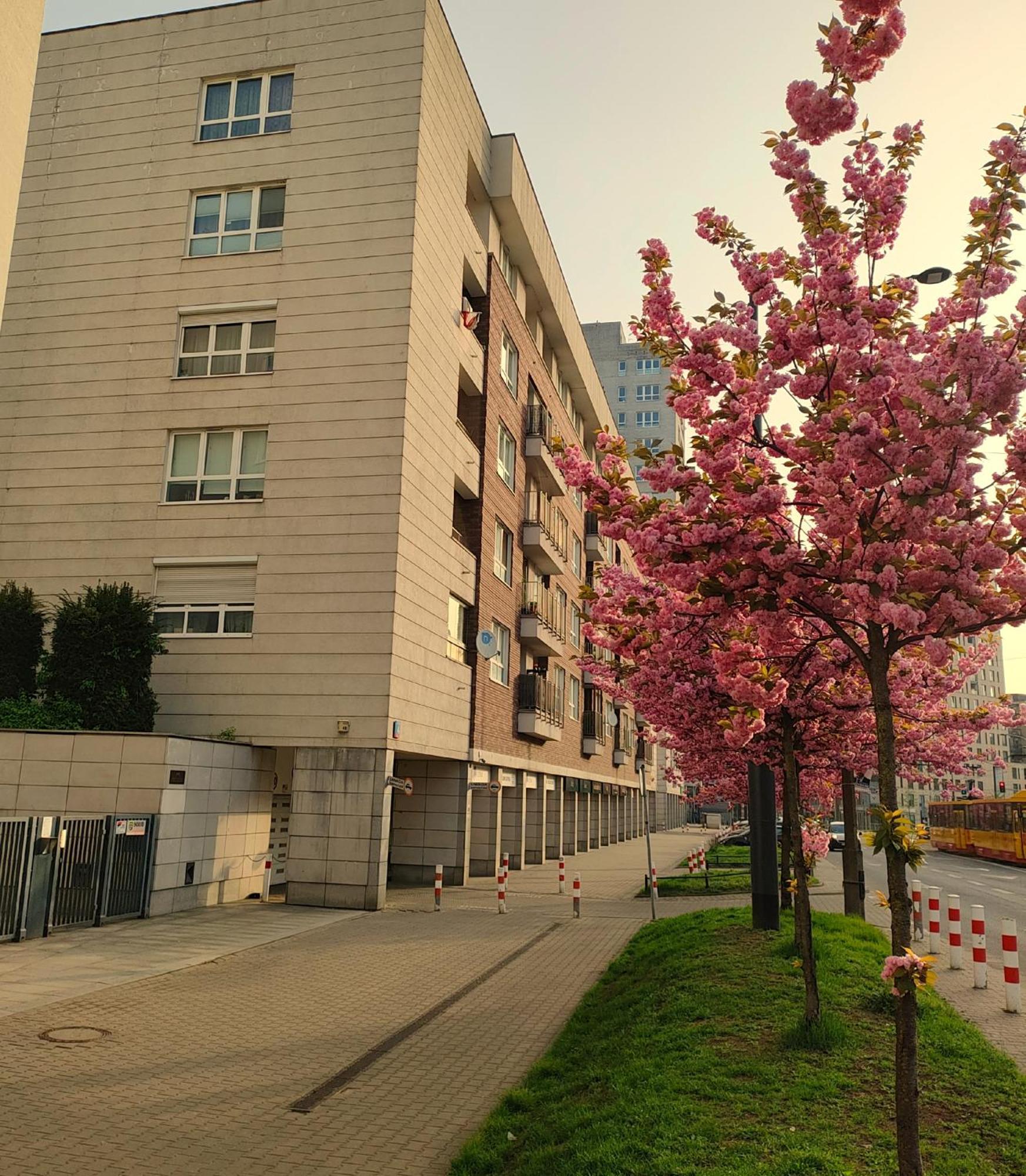Totutotam Apartamento